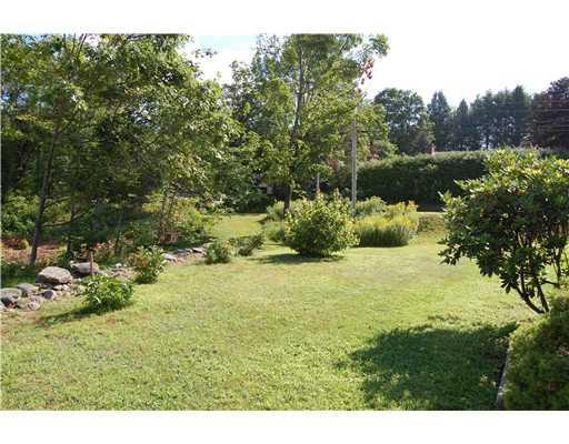 123 Staples Hill Road Canton, ME 04221 - Photo 15 of 19 Other. Side yard.