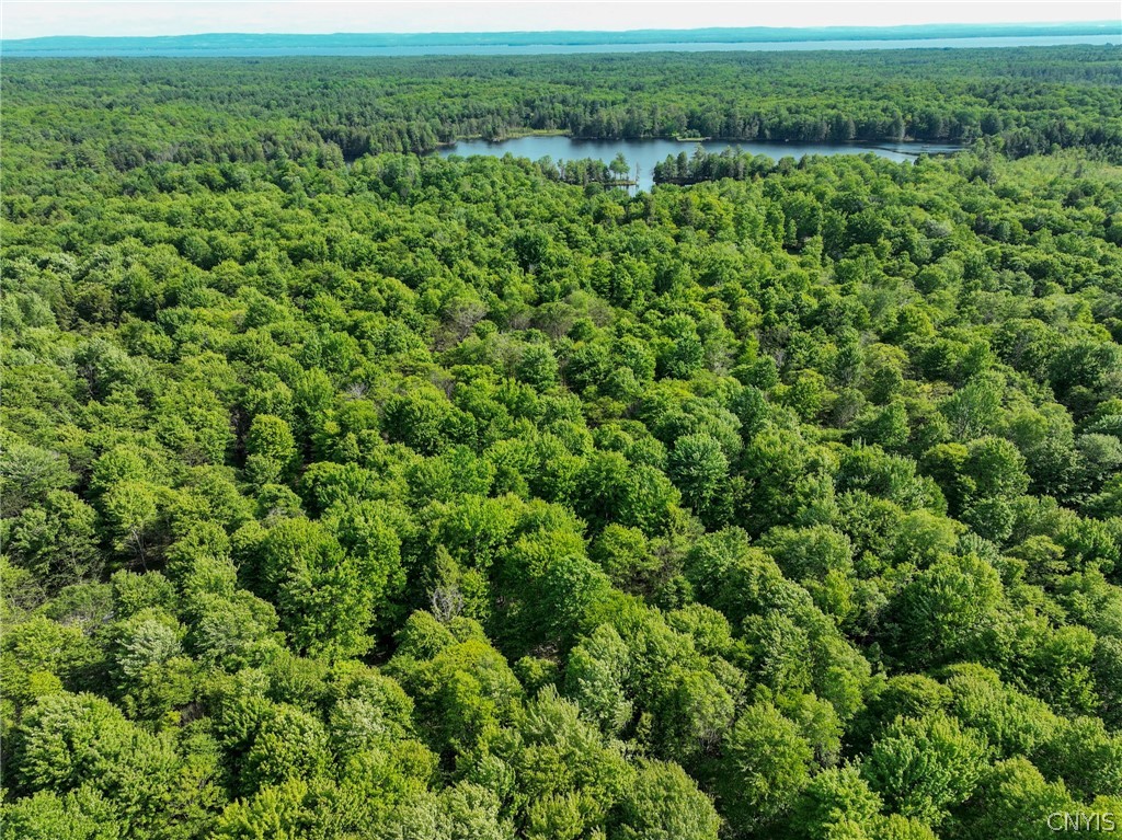 2 Tamblin Ridge Trail Bernhards Bay, NY 13028 - Photo 3 of 12