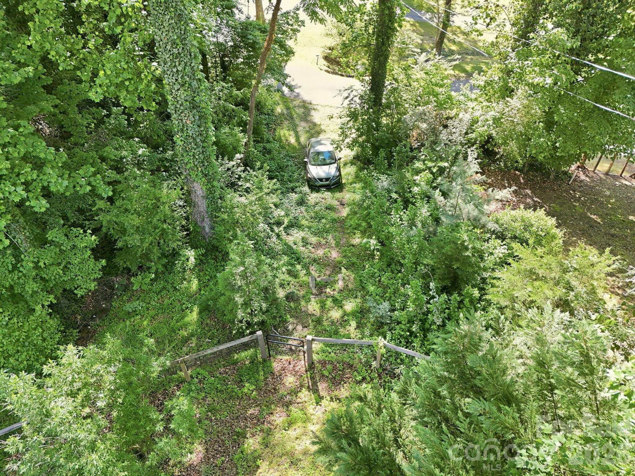 150 Pacolet Street Tryon, NC 28782 - Photo 43 of 48