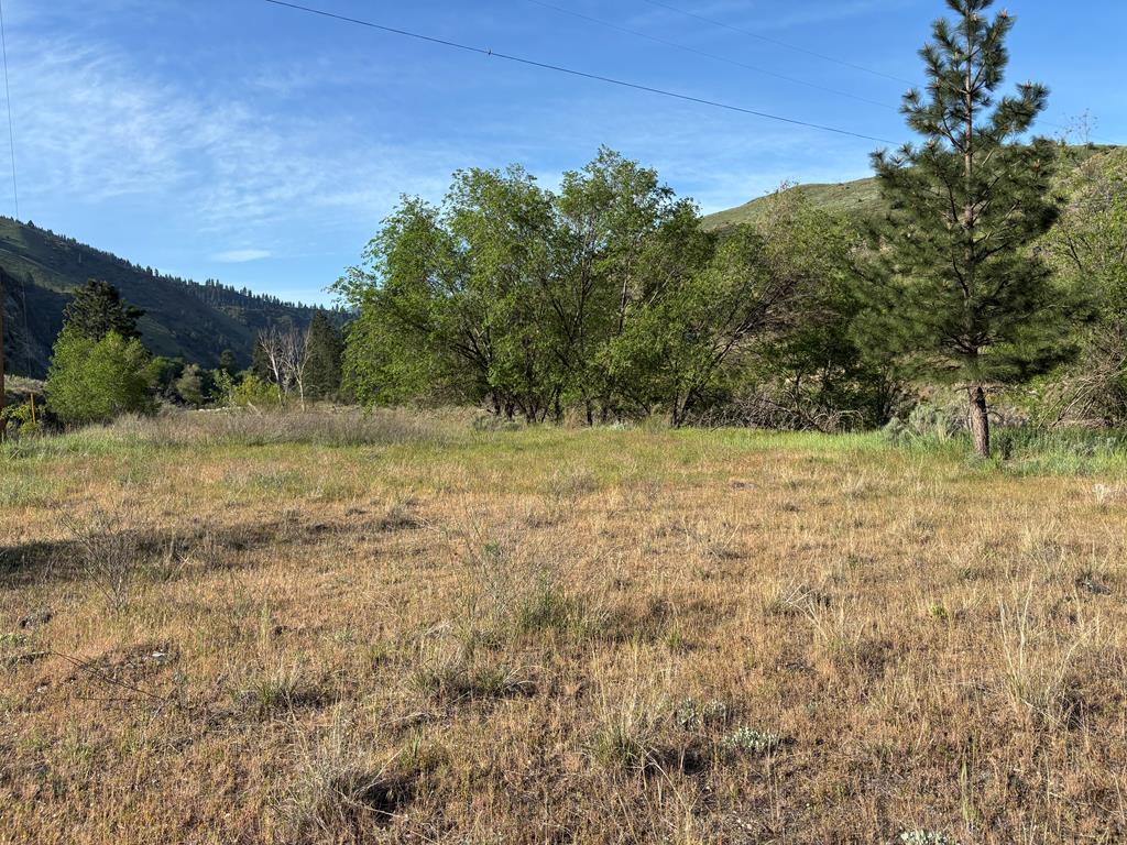 Tbd Abby Lane, Unit 5 Pollock, ID 83547 - Photo 6 of 12