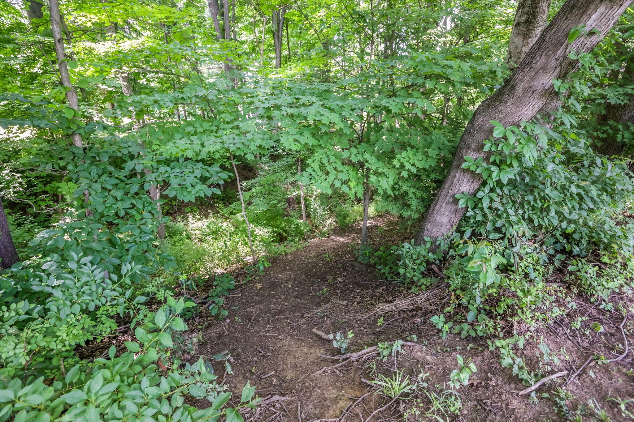 27188 Stuart Road Rockbridge, OH 43149 - Photo 41 of 48 43-web-or-mls-LO5A5288
