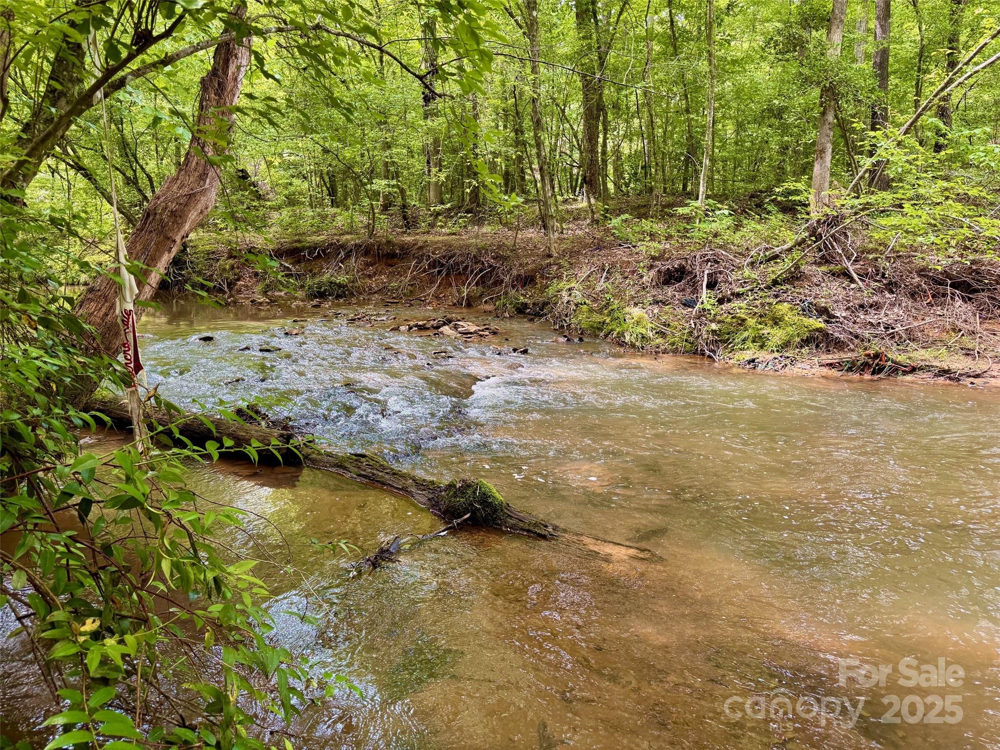 0 Stroud Road Ellenboro, NC 28040 - Photo 12 of 20