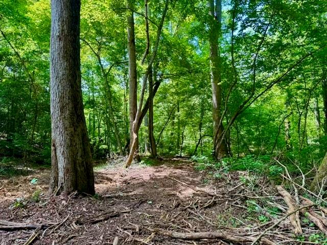 0 Stroud Road Ellenboro, NC 28040 - Photo 14 of 20