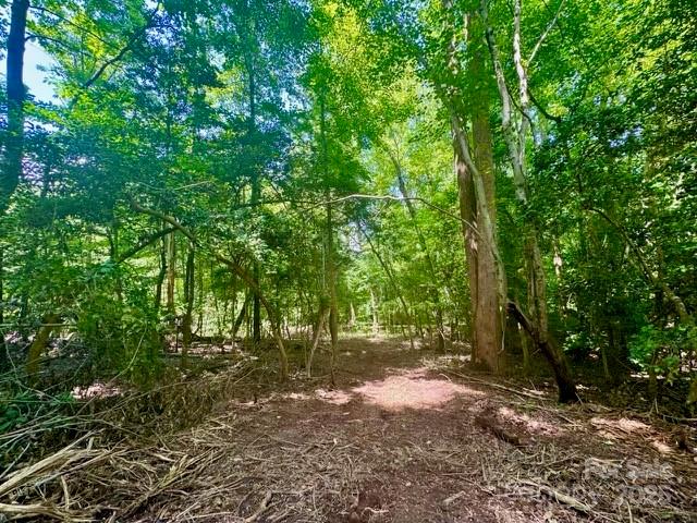 0 Stroud Road Ellenboro, NC 28040 - Photo 16 of 20