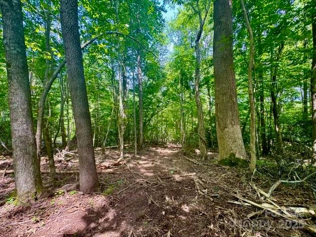 0 Stroud Road Ellenboro, NC 28040 - Photo 17 of 20