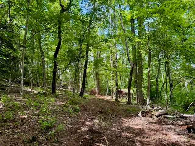 0 Stroud Road Ellenboro, NC 28040 - Photo 19 of 20