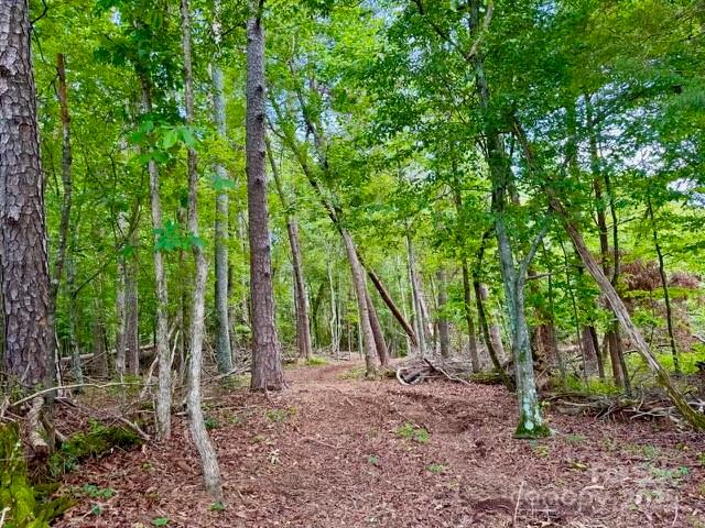 0 Stroud Road Ellenboro, NC 28040 - Photo 20 of 20