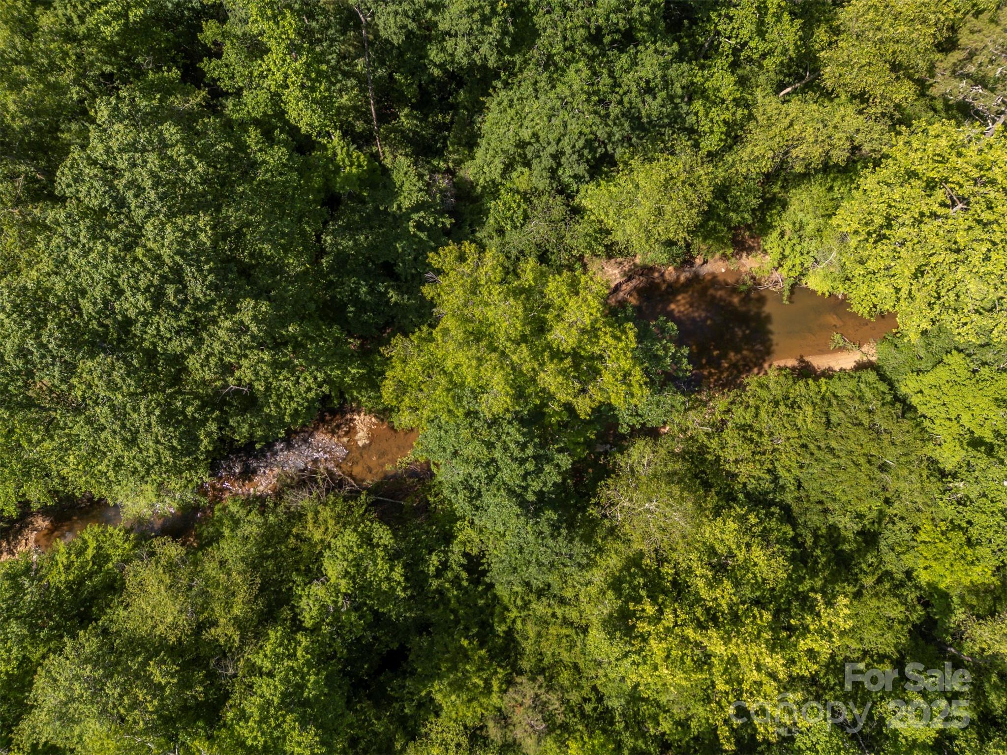 0 Stroud Road Ellenboro, NC 28040 - Photo 3 of 20