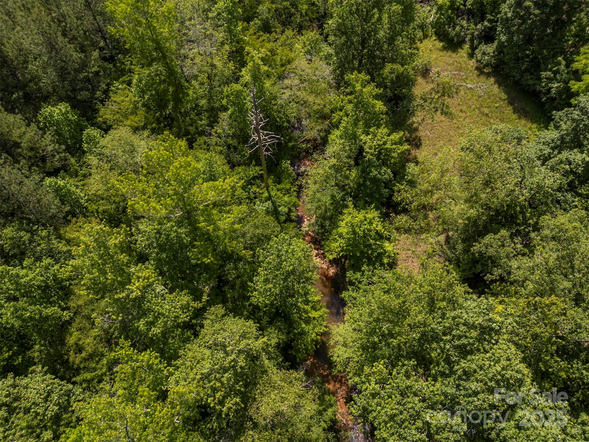 0 Stroud Road Ellenboro, NC 28040 - Photo 4 of 20