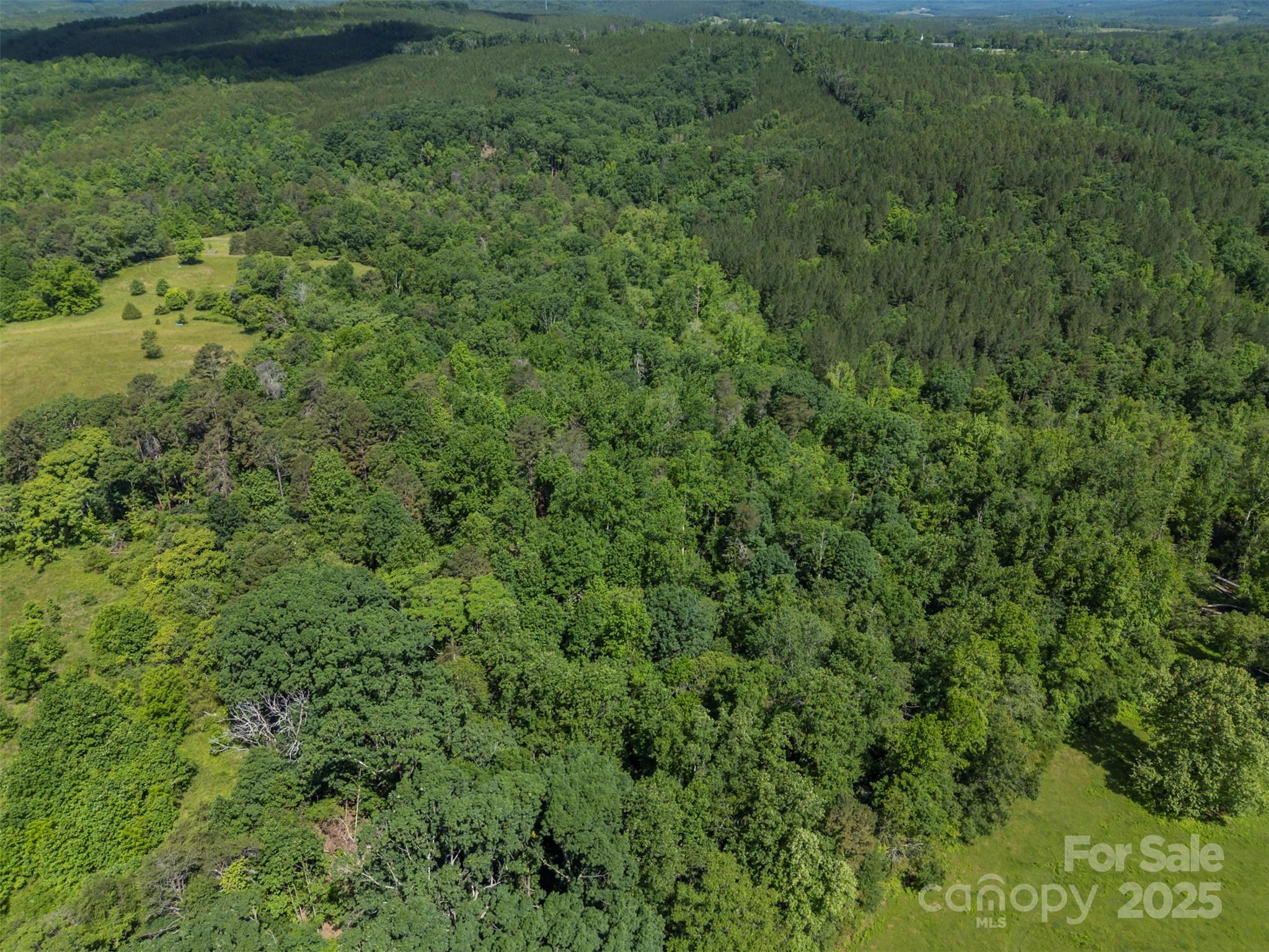 0 Stroud Road Ellenboro, NC 28040 - Photo 7 of 20