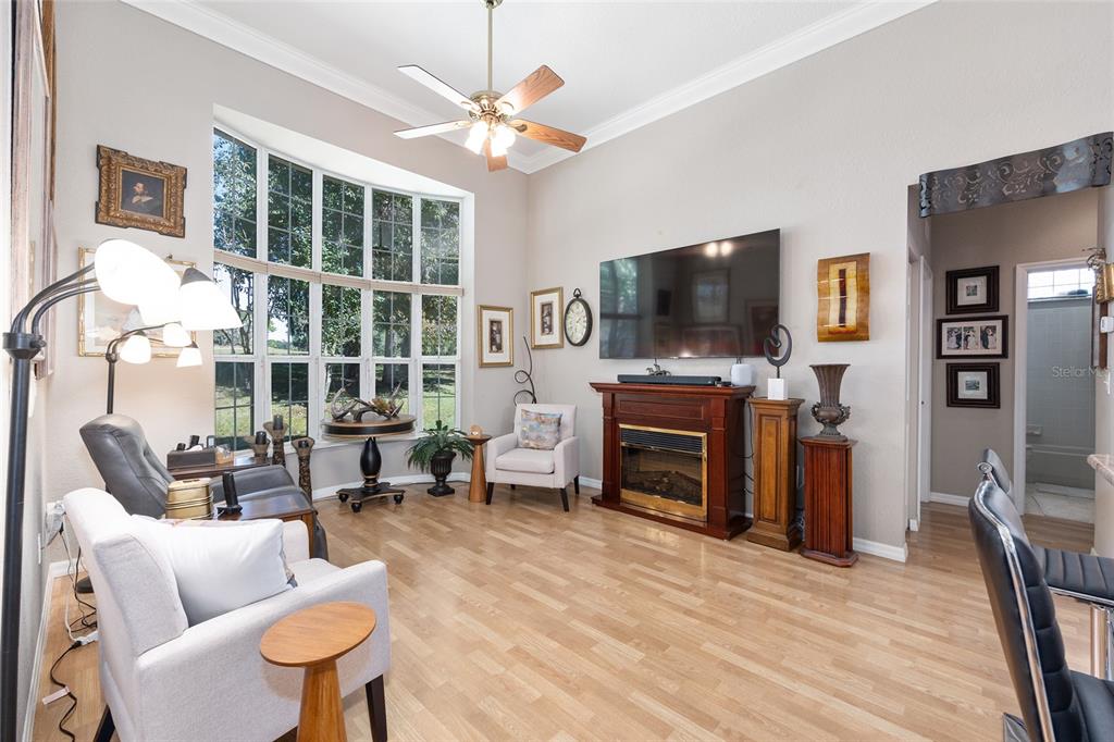 11615 Southwest 72nd Circle Ocala, FL 34476 - Photo 19 of 51 a living room with furniture a flat screen tv and a fireplace