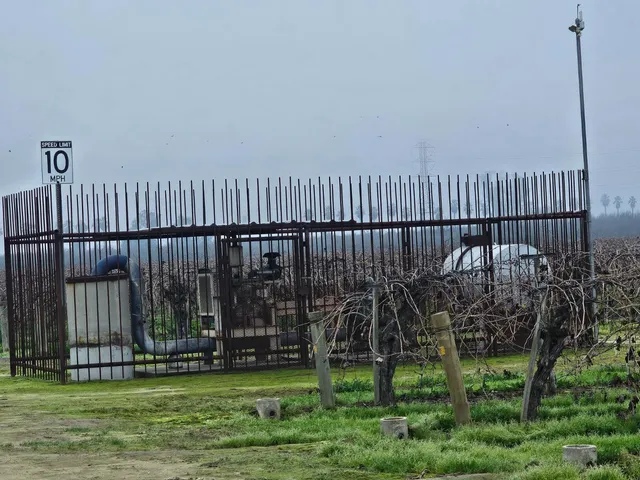 a view of a backyard with wooden fence
