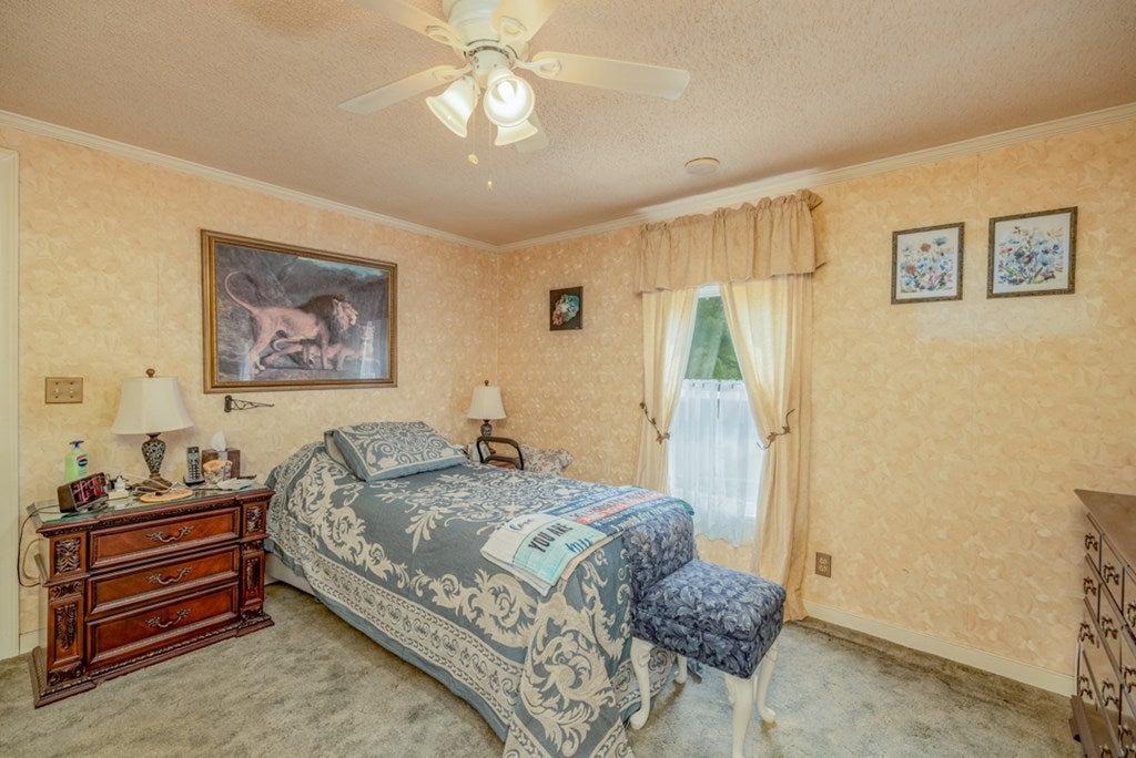 3883 Laurel Branch Road Kenbridge, VA 23944 - Photo 6 of 30 Gallery Image 6
