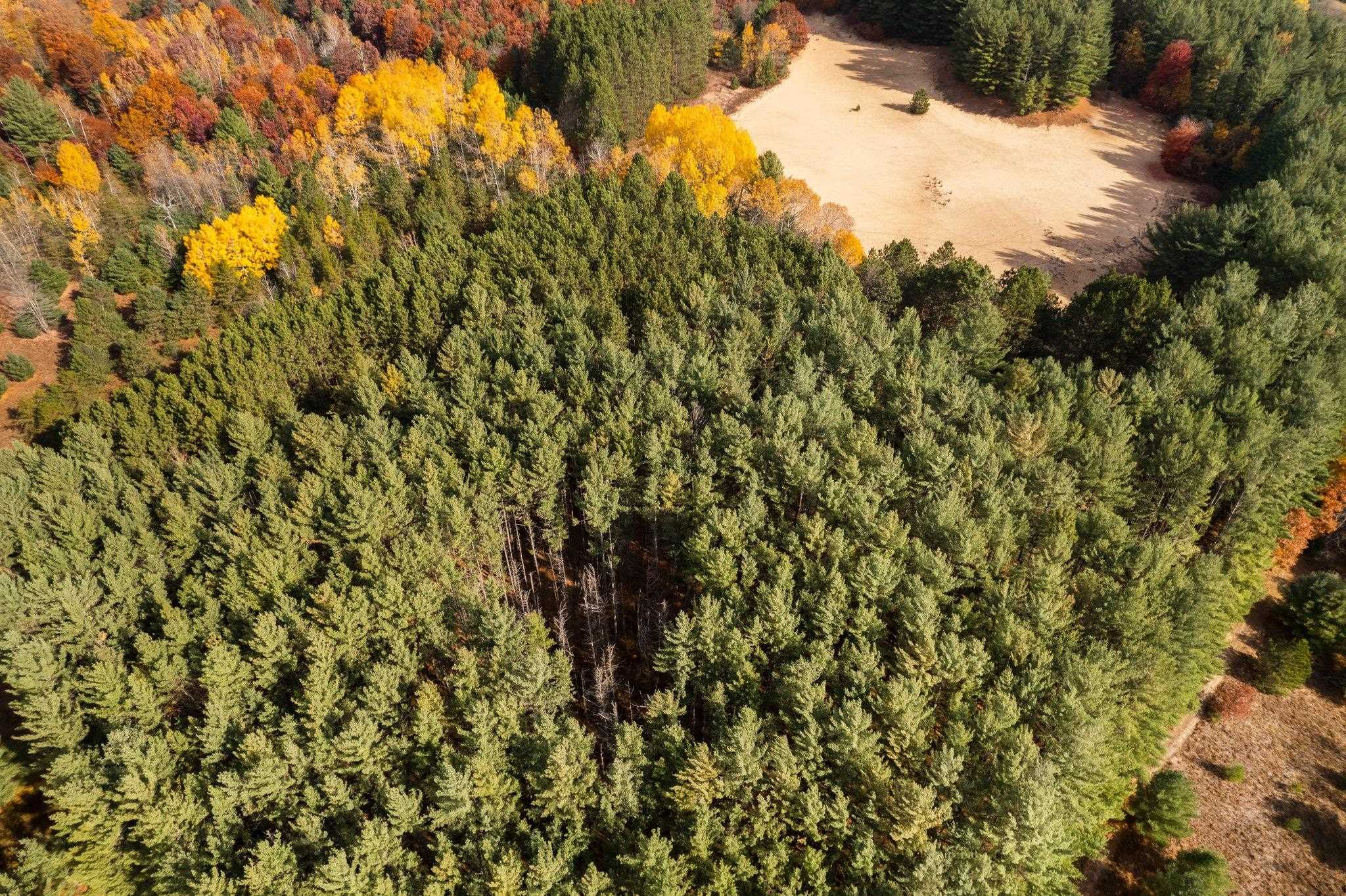 0 Grand-Kal Road Southwest Fife Lake, MI 49633 - Photo 10 of 15