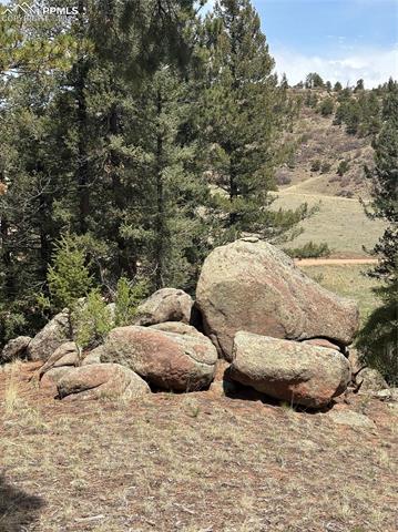 14 Apache Road Florissant, CO 80816 - Photo 13 of 15 View of nature