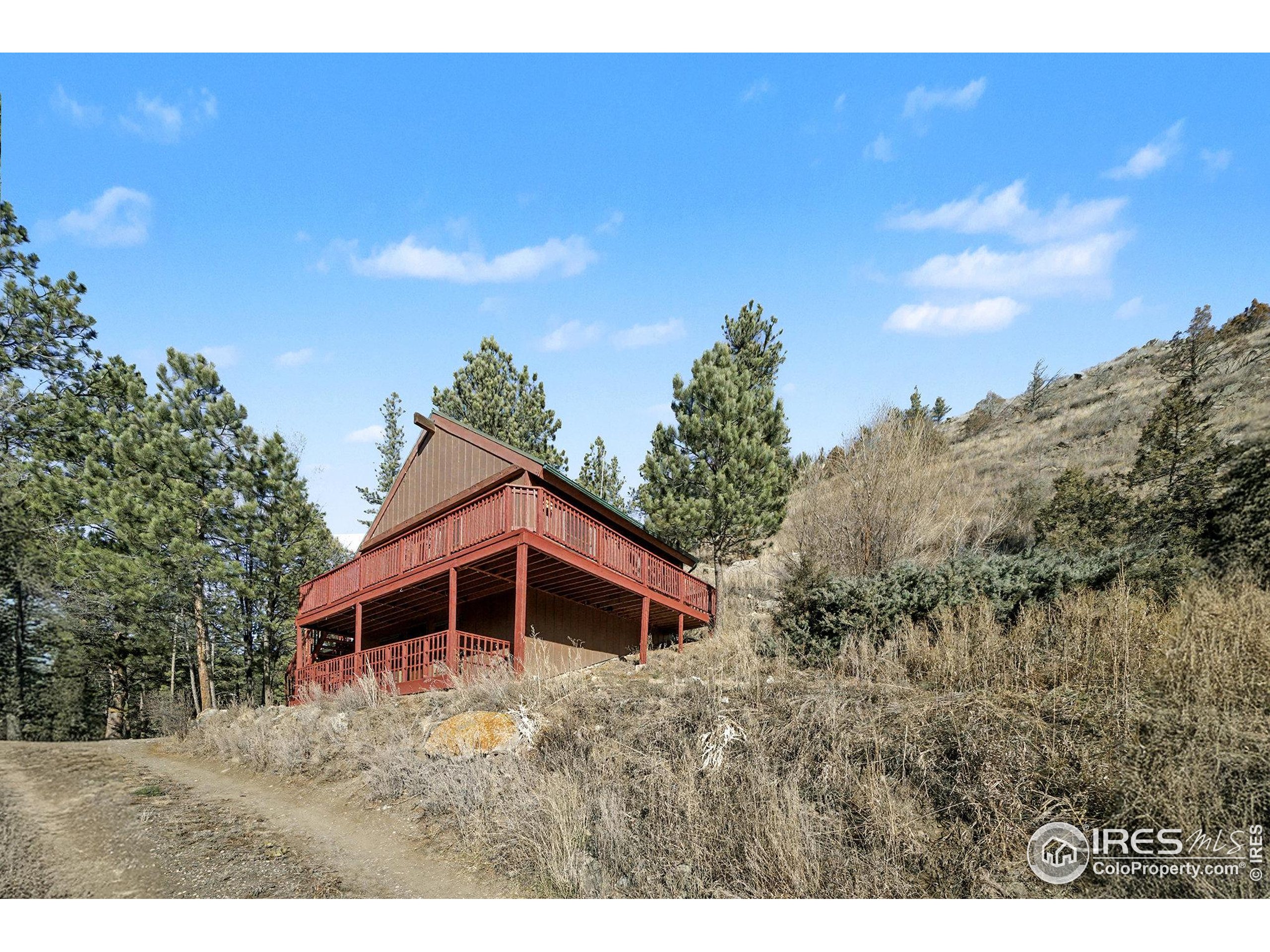 280 Streamside Drive Drake, CO 80515 - Photo 26 of 26 a large tree sitting in front of a house