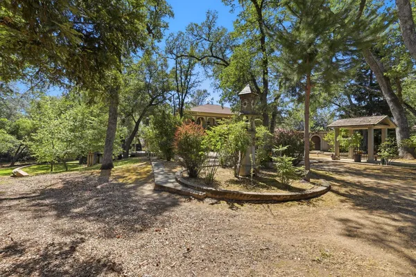 a view of a park with large trees