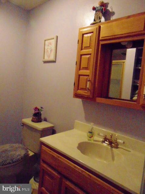 8716 Silver Hall Road Perry Hall, MD 21128 - Photo 17 of 22 Lower Lev 2nd Full Bath~Wooden Vanity