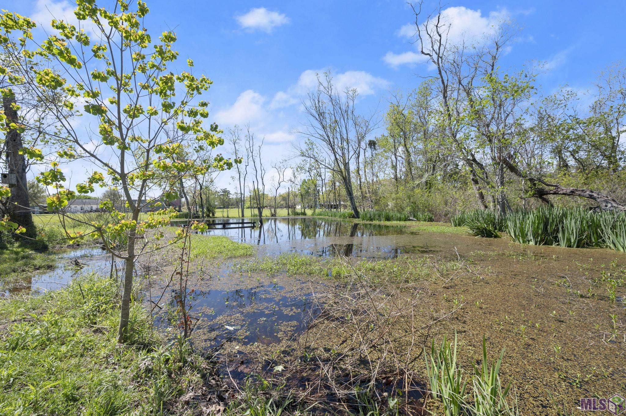 12417 Roddy Road Gonzales, LA 70737 - Photo 34 of 35