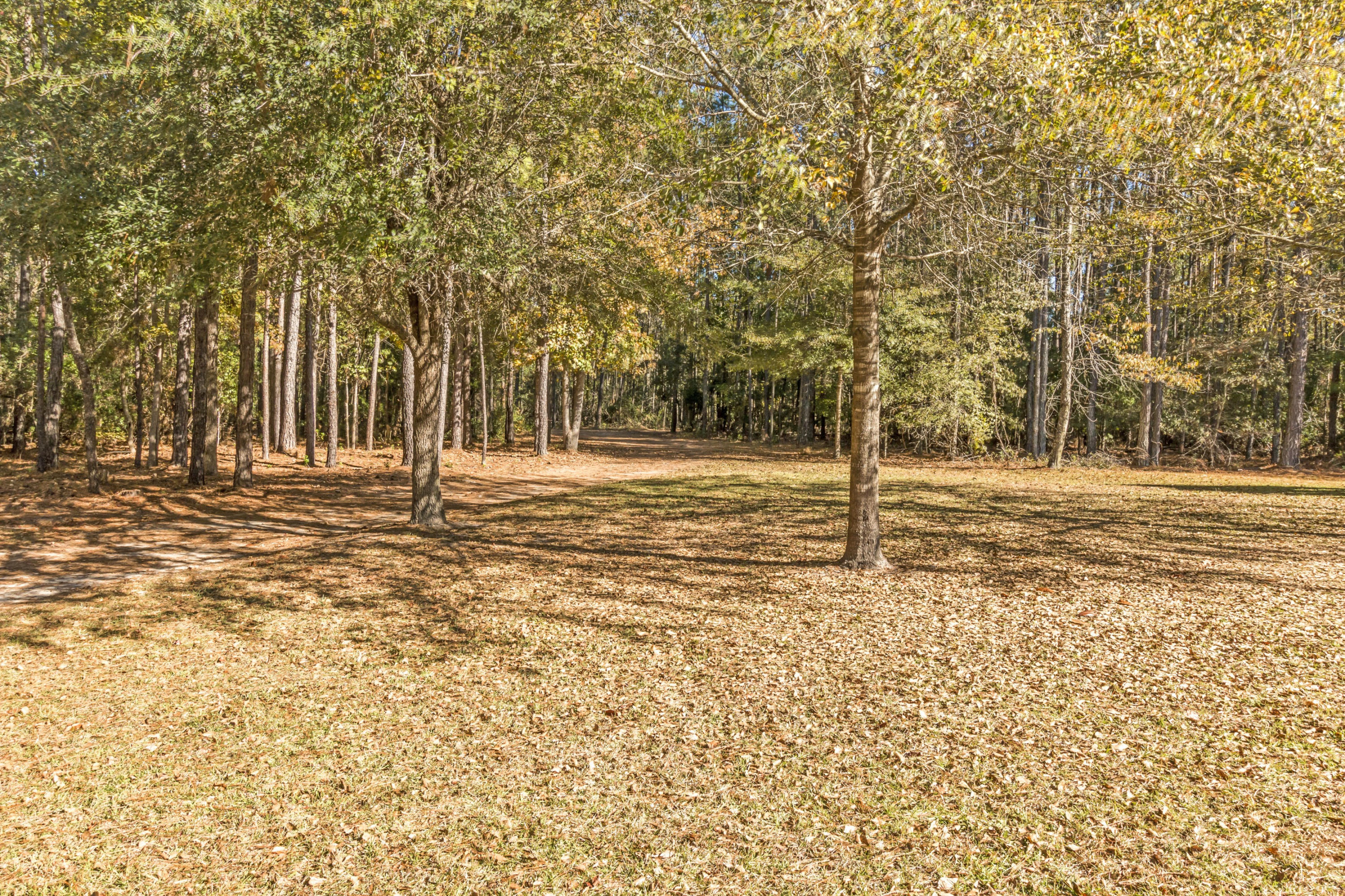 516 Salem Road Dorchester, SC 29437 - Photo 34 of 40 034-217699-7_resampled