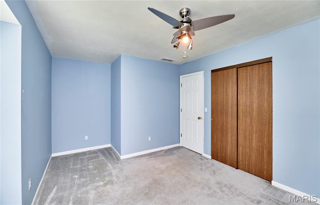 698 Walnut Ridge Fenton, MO 63026 - Photo 20 of 30