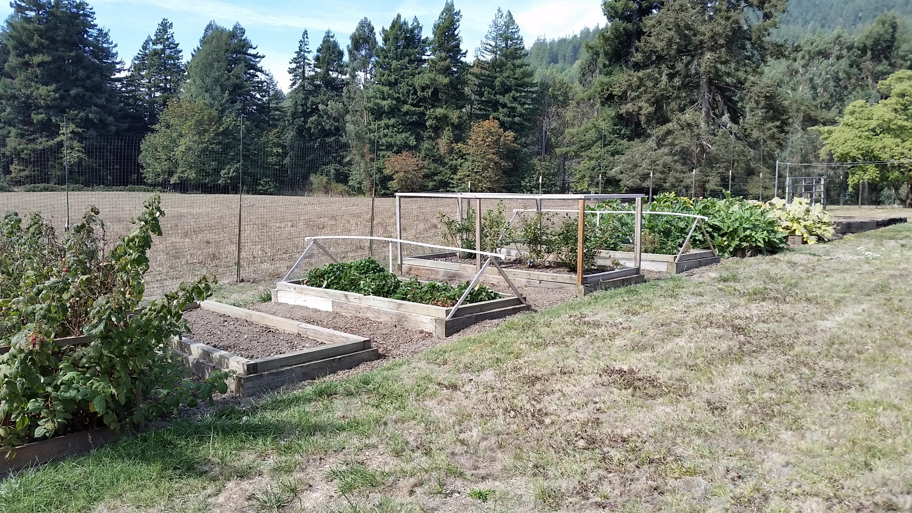 719 North Road Scotia, CA 95565 - Photo 9 of 51