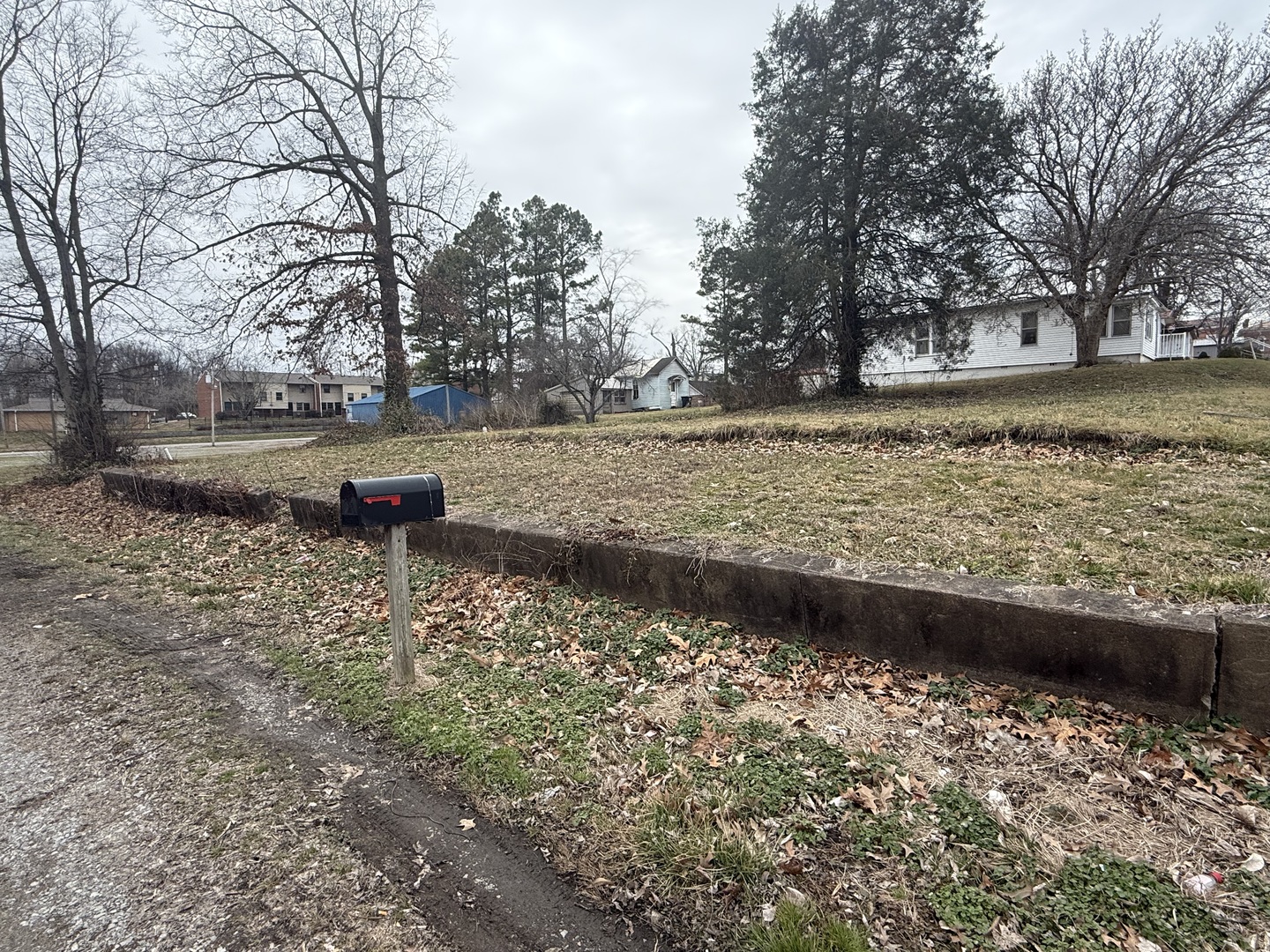 201 West Main Street Vienna, IL 62995 - Photo 2 of 8