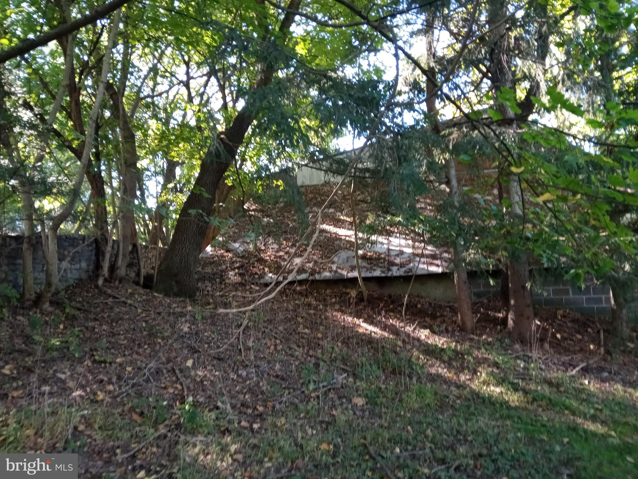 503 Exeter Road Reading, PA 19606 - Photo 8 of 108 a view of a yard with large trees