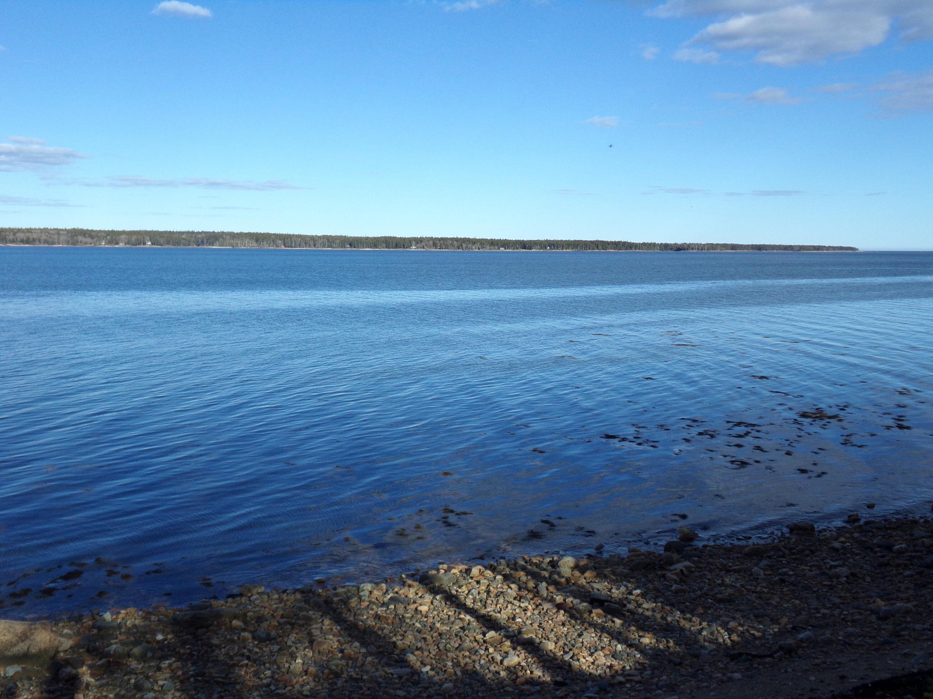 515 Paul Bunyan Road Corea, ME 04624 - Photo 42 of 52