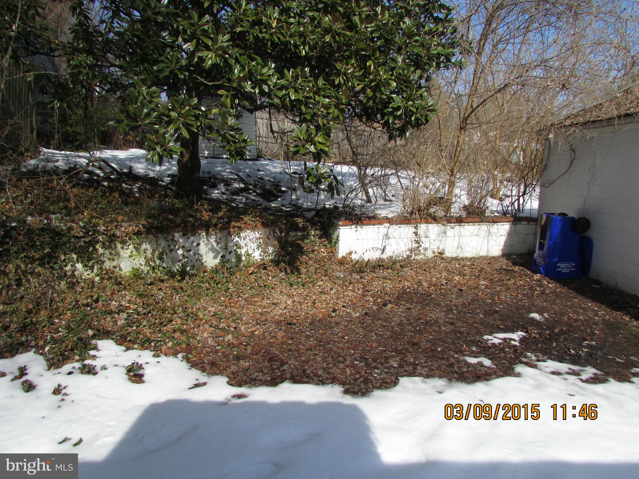 3103 Weller Road Silver Spring, MD 20906 - Photo 13 of 13 a view of a yard with a tree