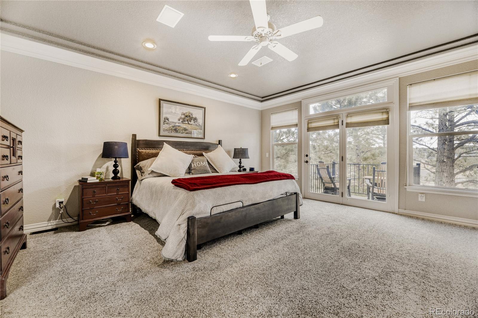 5213 Pinyon Jay Road Parker, CO 80134 - Photo 19 of 46