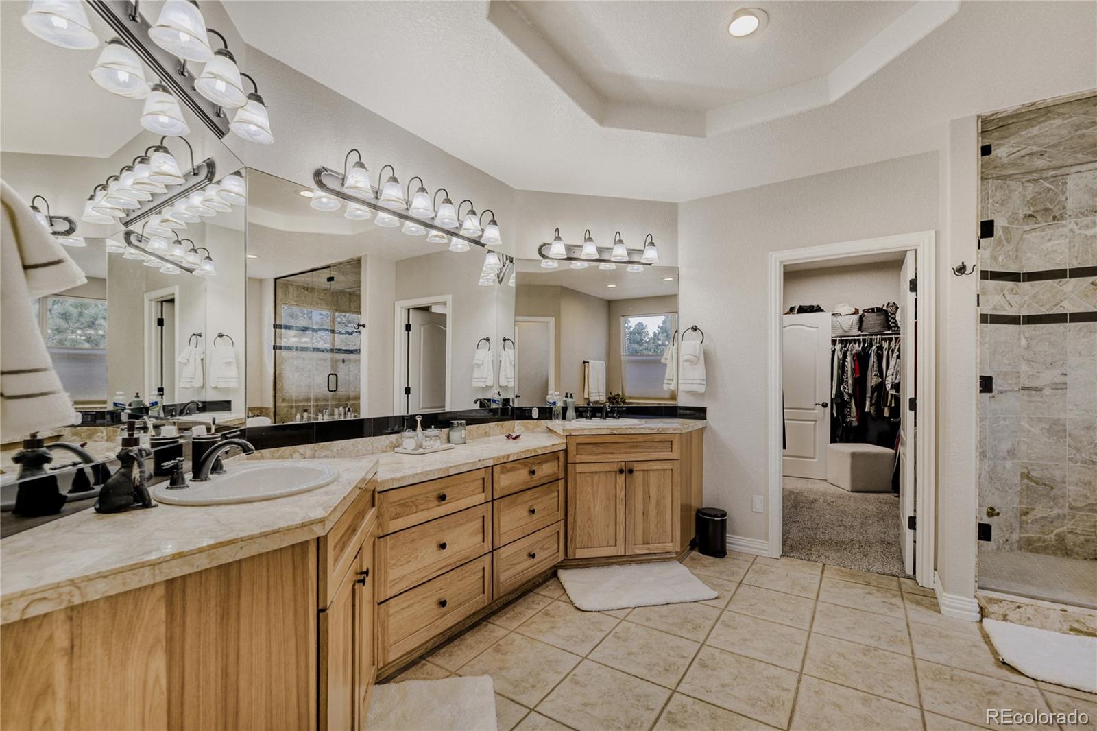 5213 Pinyon Jay Road Parker, CO 80134 - Photo 21 of 46