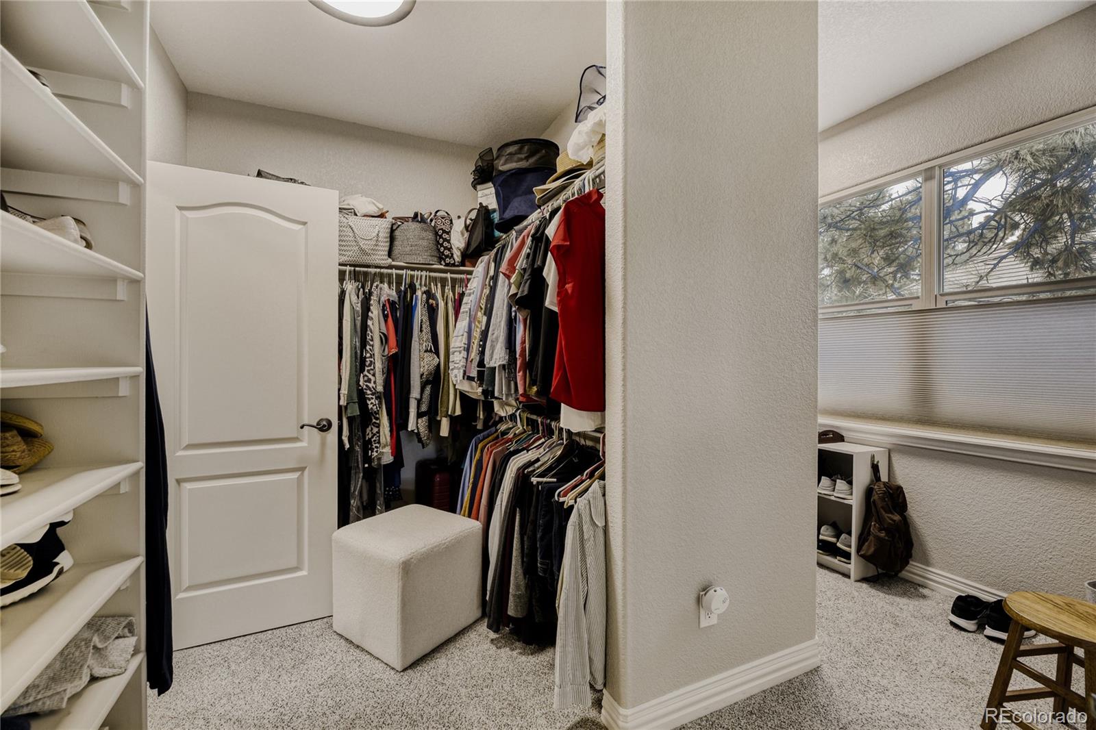 5213 Pinyon Jay Road Parker, CO 80134 - Photo 24 of 46