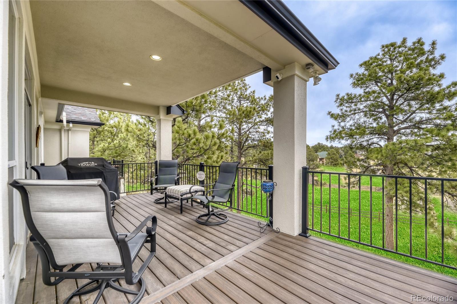 5213 Pinyon Jay Road Parker, CO 80134 - Photo 32 of 46