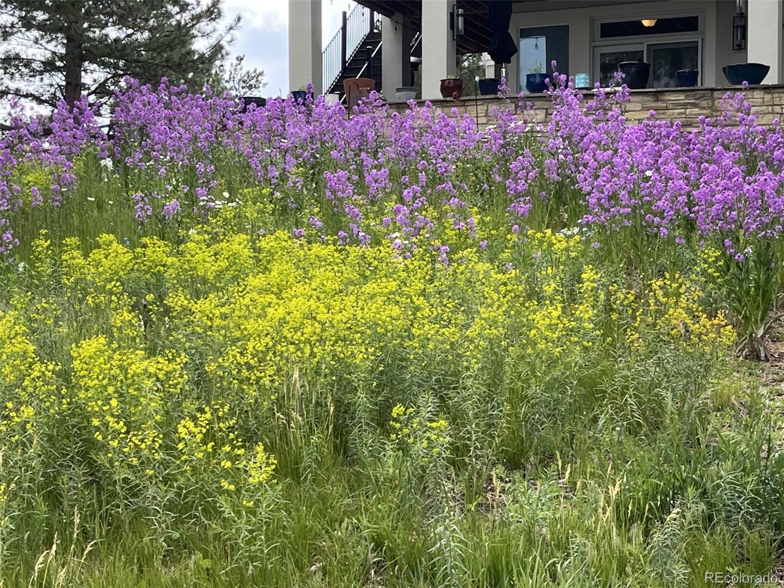 5213 Pinyon Jay Road Parker, CO 80134 - Photo 35 of 46