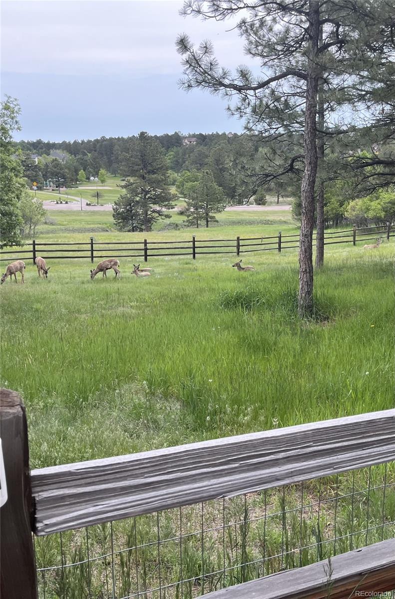 5213 Pinyon Jay Road Parker, CO 80134 - Photo 36 of 46