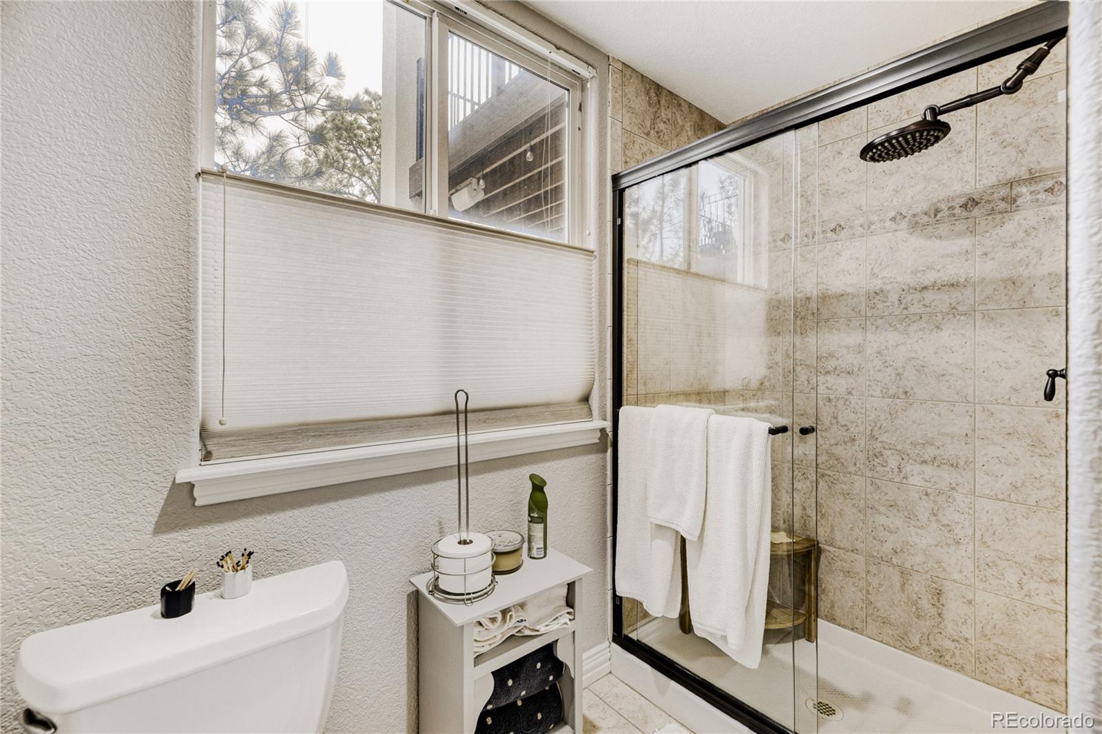 5213 Pinyon Jay Road Parker, CO 80134 - Photo 43 of 46