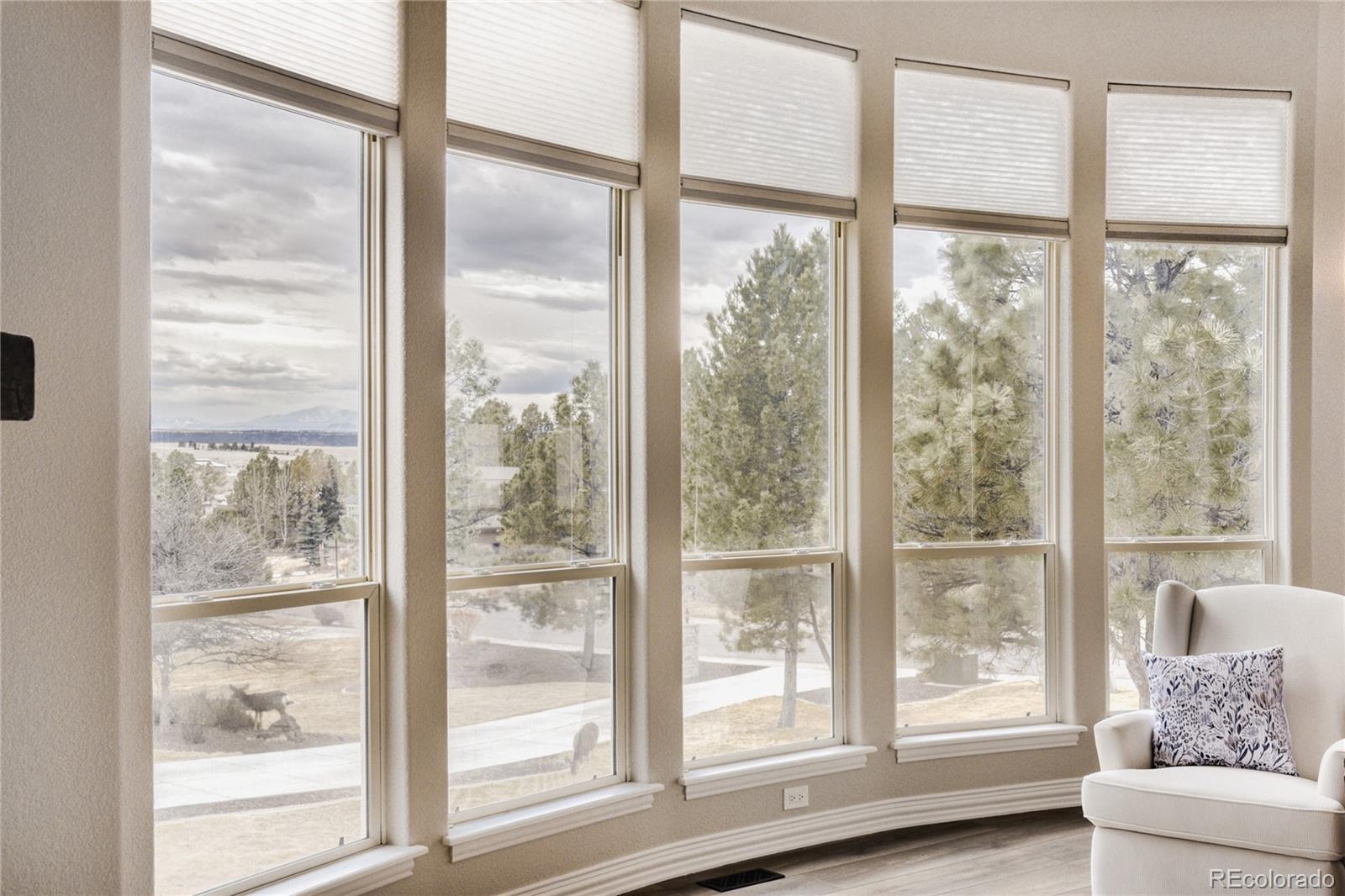 5213 Pinyon Jay Road Parker, CO 80134 - Photo 10 of 46