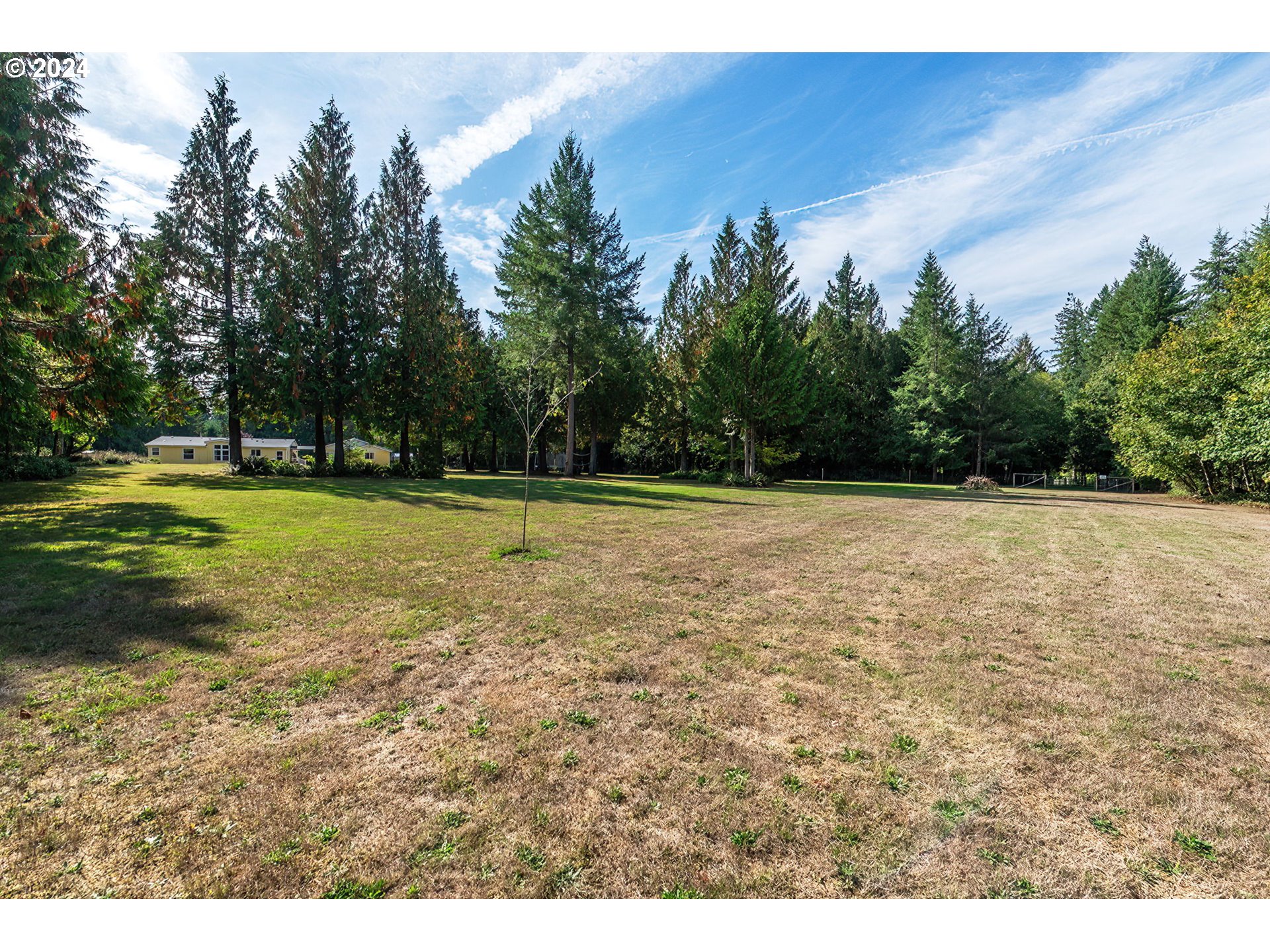 110-81 Rawlins Road Winlock, WA 98596 - Photo 26 of 32 a view of a field with trees in the background