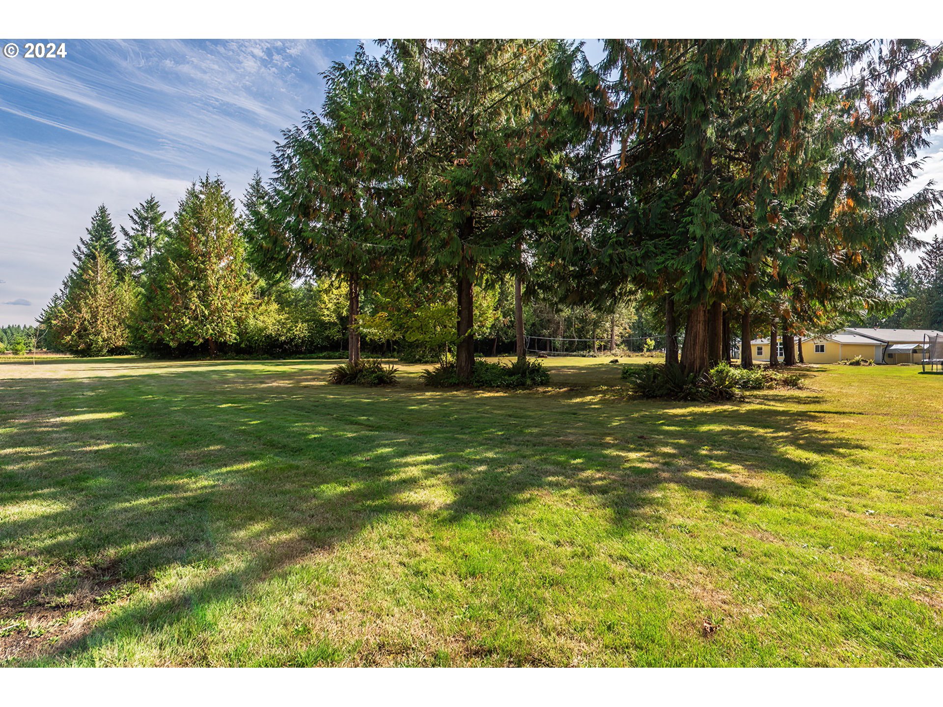 110-81 Rawlins Road Winlock, WA 98596 - Photo 27 of 32 a view of outdoor space with trees all around