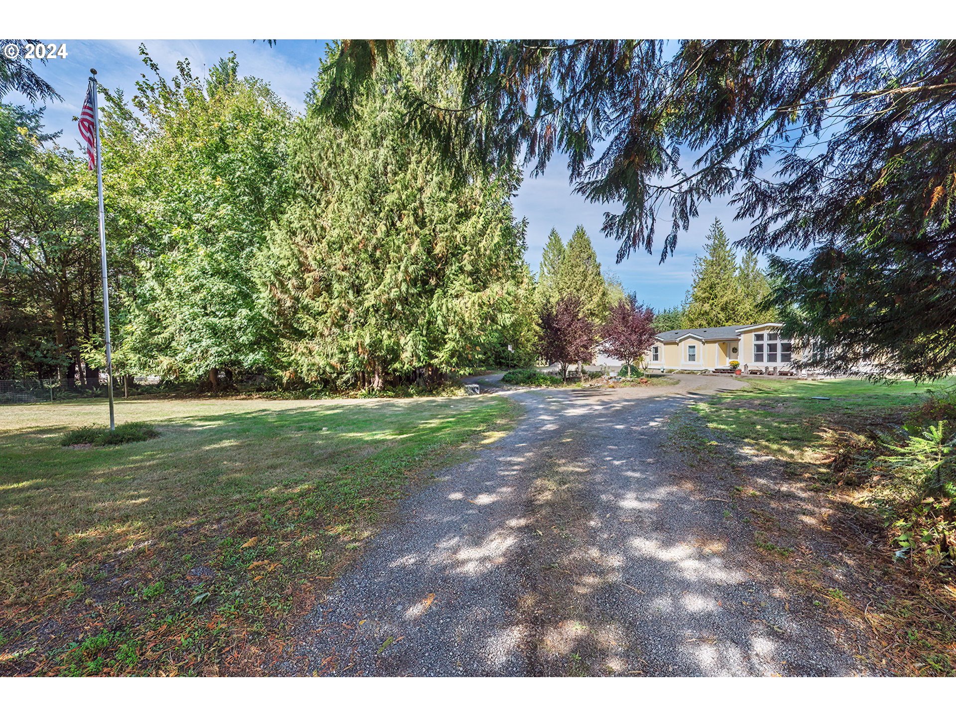 110-81 Rawlins Road Winlock, WA 98596 - Photo 3 of 32 a view of a yard with a tree