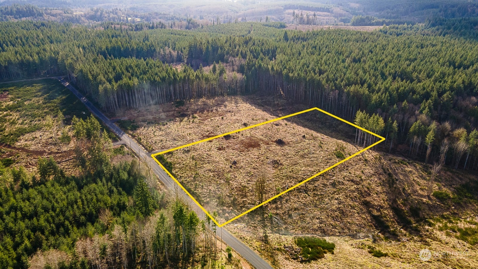 145 Nando Lane Winlock, WA 98596 - Photo 4 of 13 Gallery Image 4