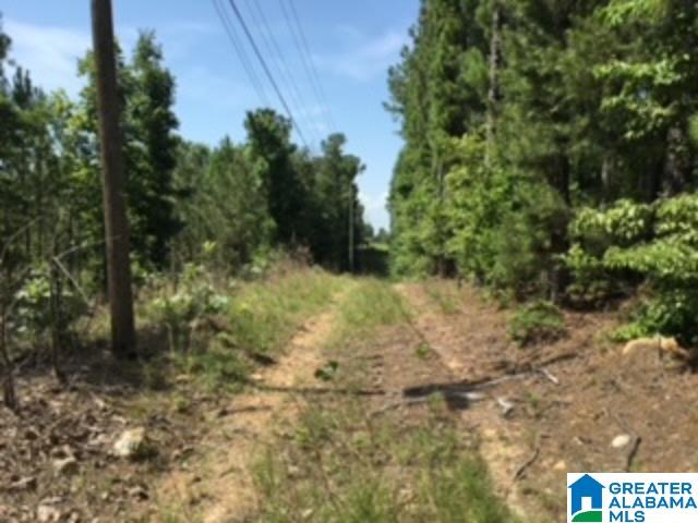 1850 Logan Martin Dam Road, Unit 1 Vincent, AL 35178 - Photo 4 of 4
