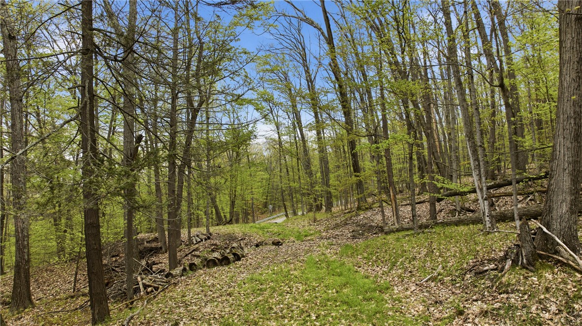 Silvernail Road Hammondsport, NY 14840 - Photo 9 of 25
