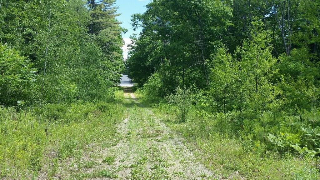 Tbd Pinewood Road Jay, ME 04239 - Photo 3 of 6 Photo