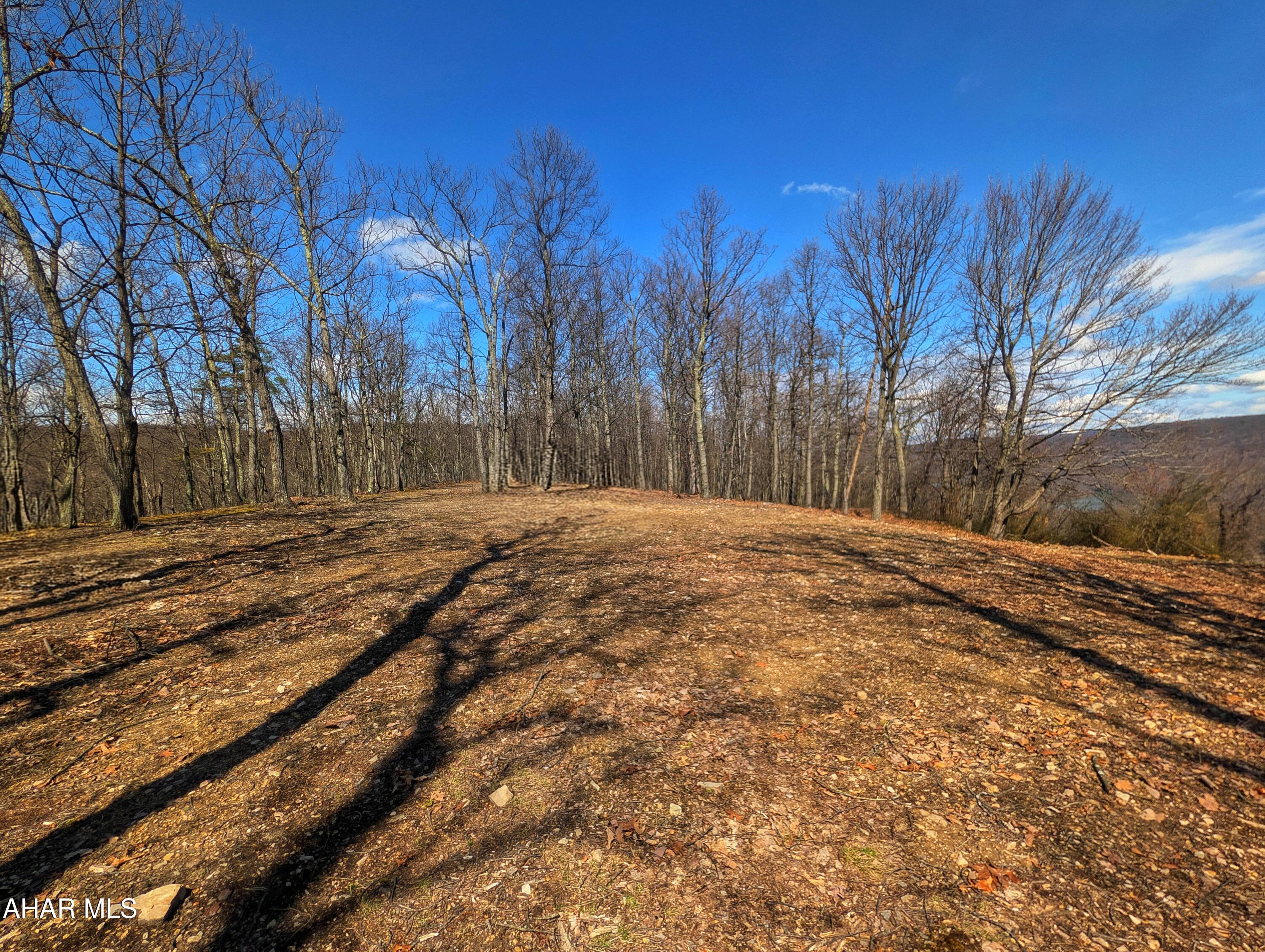 0 Pine Ridge Road Saxton, PA 16678 - Photo 14 of 23