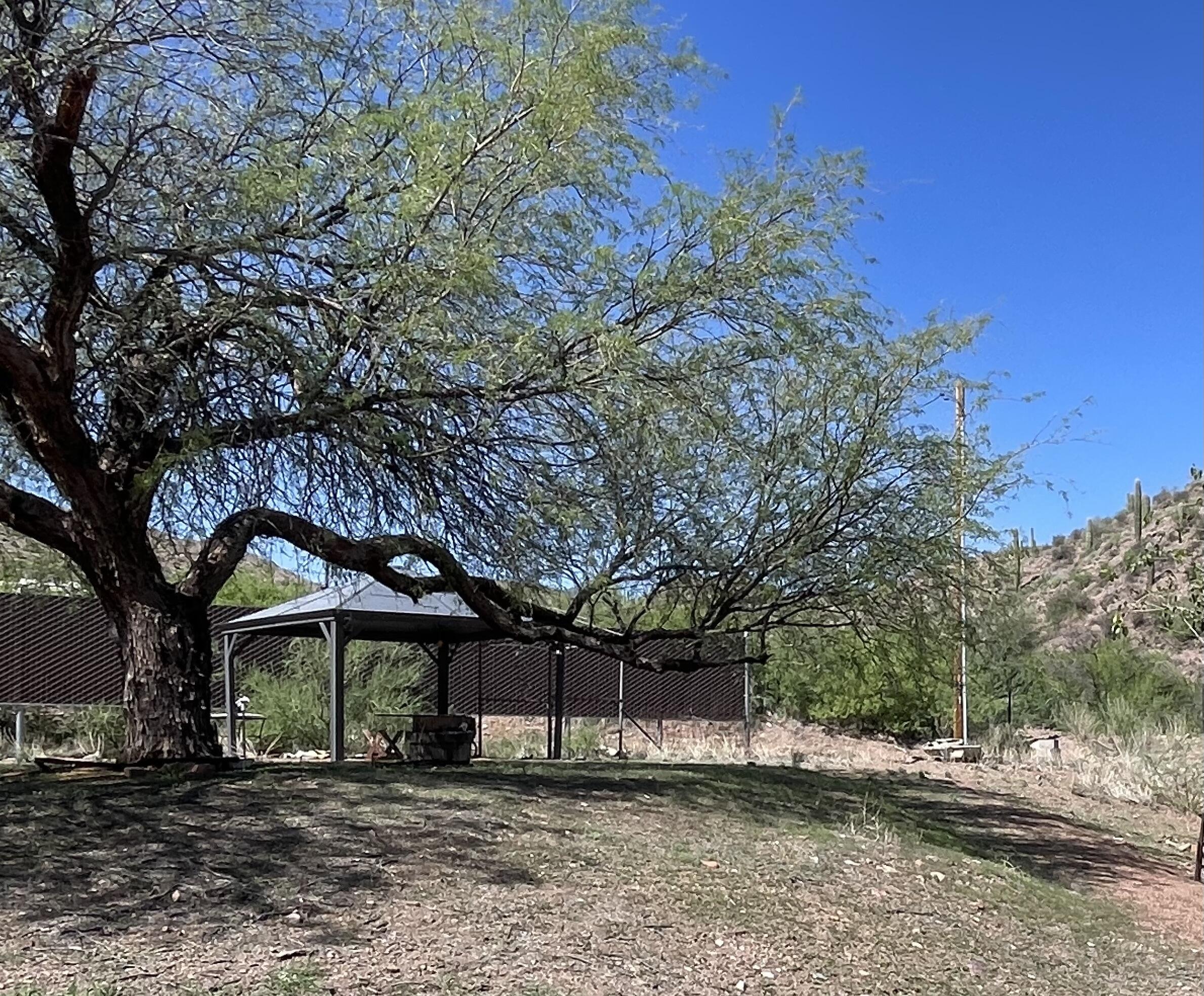 53282 Highway 188 Payson, AZ 85541 - Photo 33 of 66 Gazebo