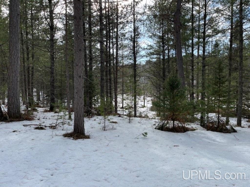 Lot 7 Powell Lake Road Wetmore, MI 49895 - Photo 16 of 16
