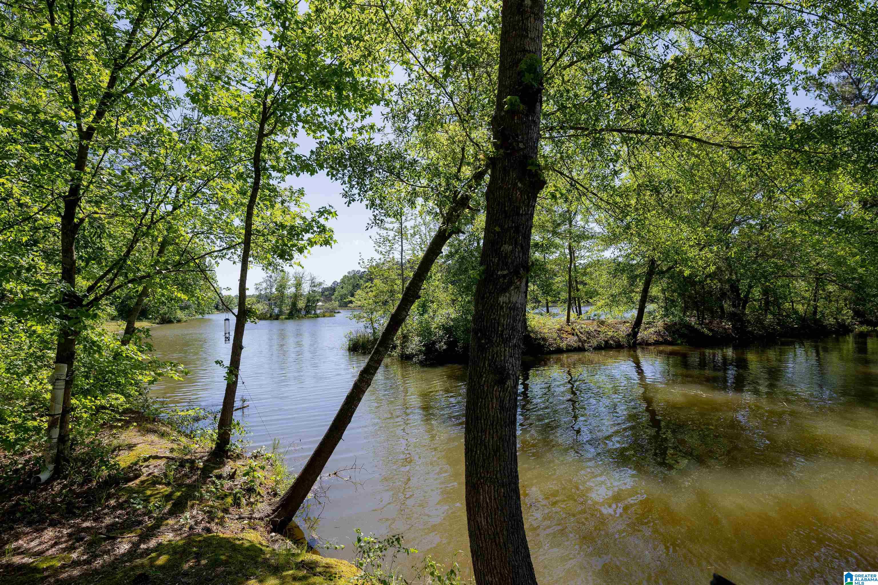 35 Stillwater Cove Riverside, AL 35135 - Photo 40 of 50
