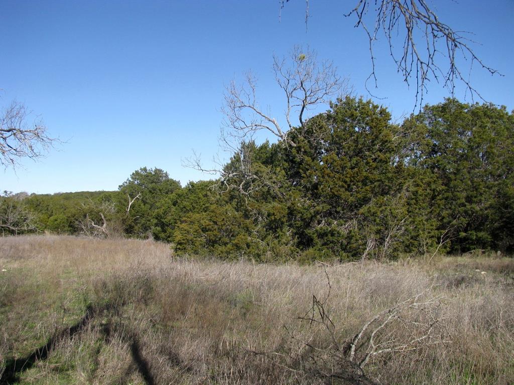 Lot 3-ph County Road 421 Evant, TX 76525 - Photo 23 of 27